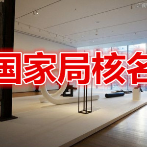海南注冊中字頭公司核名 國家局核名