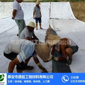 唐能(圖)-陜西膨潤土防水毯供應商-陜西膨潤土防水毯