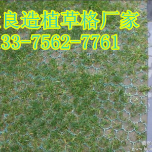 上饒植草格   植草格廠家