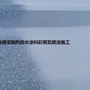 彩鋼瓦屋面防水補(bǔ)漏-平潭鎮(zhèn)防水補(bǔ)漏-森德寶(查看)