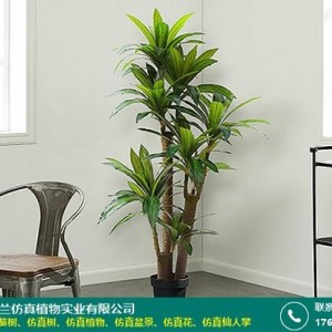 塑料仿真樹哪里有現貨_沐蘭仿真植物_室內大型_展廳_塑料_大葉類