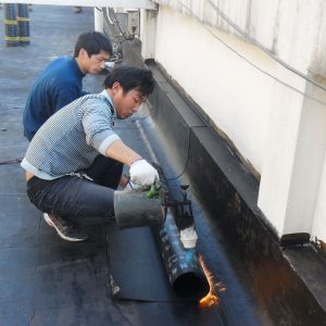 天津市津南區防水補漏 SBS卷材 鋪油氈