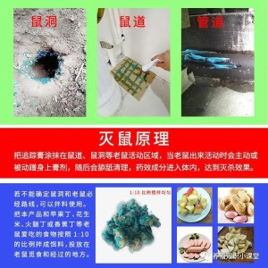 湘潭專業除四害電話
