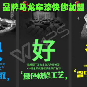 珠海星牌馬龍汽車局部補漆加盟