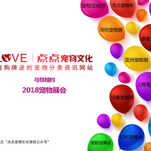 點(diǎn)點(diǎn)寵物文化-人民共和國寵物貓狗小動物法律規(guī)范