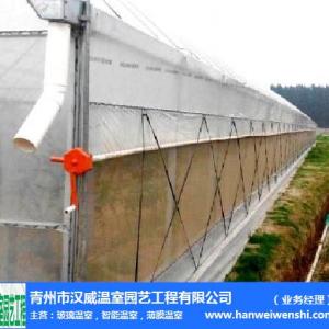 西安連棟大棚-連棟大棚承建-漢威溫室(優質商家)