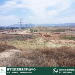 農村土地承包權轉讓-聚寶盆(在線咨詢)-內蒙古承包權轉讓