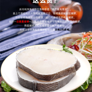 法國銀鱈魚新鮮寶寶輔食進口深海包郵雪魚鱈魚片南極犬牙魚鱈魚排