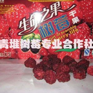 供應黑樹莓 黑樹莓鮮果-封丘縣青堆樹莓專業合作社