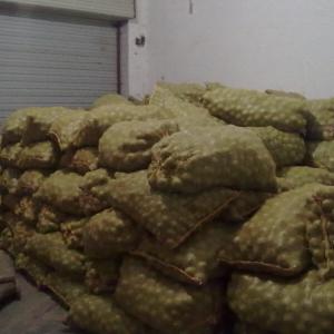 陜西青皮核桃價格，陜西青皮核桃產地，青皮核桃批發