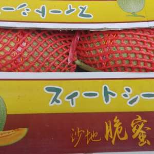 批發代銷哈蜜瓜