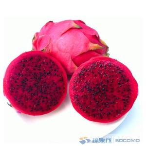 蔬果茂公司大量供應(yīng)紅心火龍果