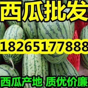 福建優(yōu)質(zhì)薄皮西瓜油桃市場(chǎng)價(jià)格