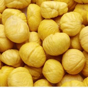 宏鴻集團(tuán)--長(zhǎng)沙分公司食材配送-板栗
