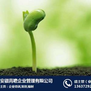 安徽項目資金管理實施細則報告,高瞻管理,資金管理實施