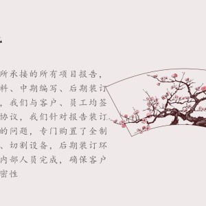 秦皇島專業(yè)做項目分析報告單位礦山開采工具