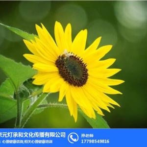 情商上的心理咨詢、心理咨詢、南京元燈承和 查看