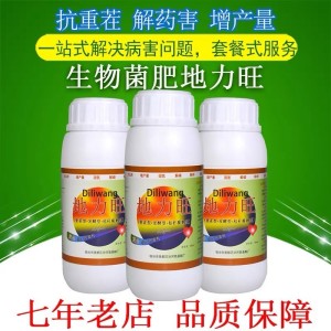 預防開心果流膠該怎么辦用什么藥效果佳