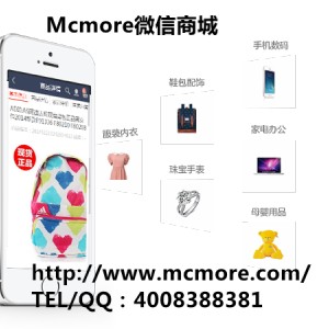 淺談：微店商城系統的運營跟建設攻略