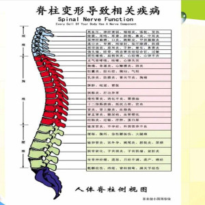 昆明整脊培訓(xùn)美式整脊能不能學(xué)會(huì)
