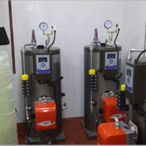 現(xiàn)貨供應(yīng)冠中牌50公斤燃?xì)庹羝l(fā)生器價格低