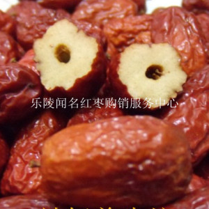 大量供應無核棗_樂陵無核金絲小棗