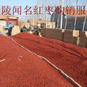常年專業供應各級樂陵金絲小棗提供代收服務