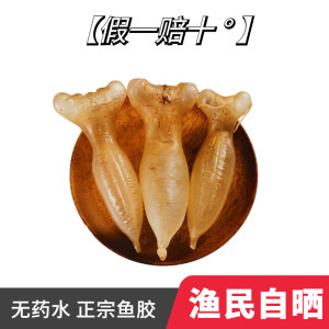 金龍魚膠一斤多少錢花膠哪里又買印尼白花膠