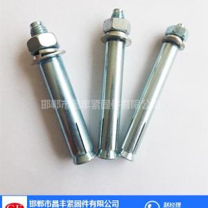 膨脹絲批發_新疆膨脹絲_昌豐緊固件物美價廉(查看)