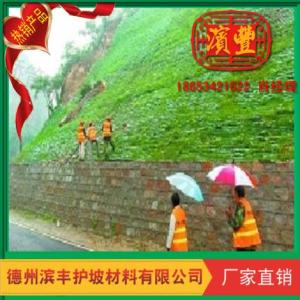 綠化護坡植生袋植草袋 濱豐護坡材料