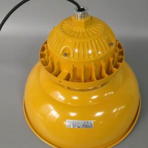 隨州LED防爆彎燈生產廠家