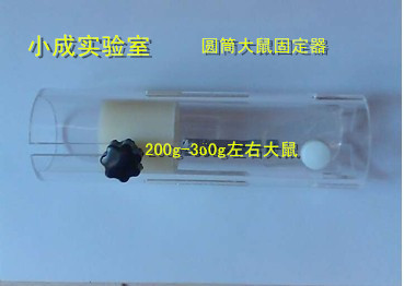 大鼠固定器  板式和筒式 現貨 北京廠家直銷