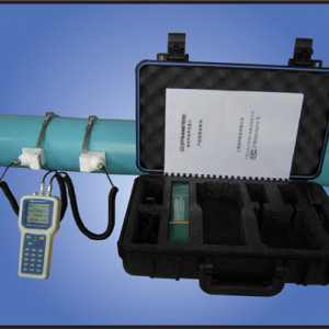 供應上海森逸DTFX1020PX1-H超聲波流量計