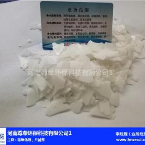 河南省尊榮環保-氫氧化鈉洗滌劑廠家-江蘇省氫氧化鈉洗滌劑