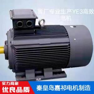 YE3高效電機制造