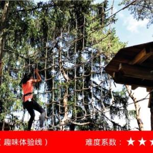 樹上探險