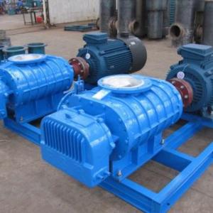 精制低噪音羅茨鼓風(fēng)機(jī)技術(shù)專家