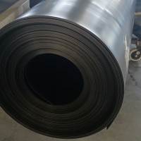 聚乙烯土工膜 防滲膜