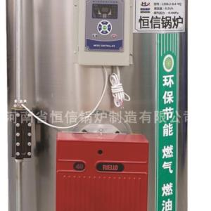 小立式燃油氣蒸汽發生器