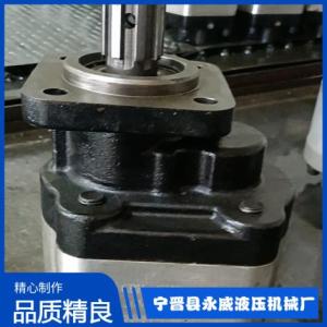 CBHw-G100齒輪泵制造