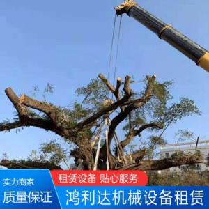 樹木移植