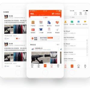 飛鴿聯動