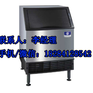 蘇州萬利多臺式制冰機