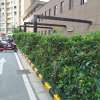 景觀綠化施工養護
