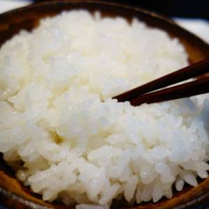口感獨特營養豐盛射陽大米25kg老少皆宜
