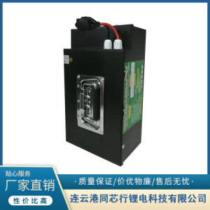 電動(dòng)車用48v12ah國(guó)軒鐵鋰鋰電池