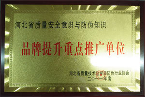 品牌提升重點(diǎn)推廣單位