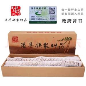 鐵棍山藥