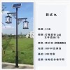 這一盞盞太陽能路燈 點(diǎn)亮了居民回家路