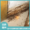 白蟻防治